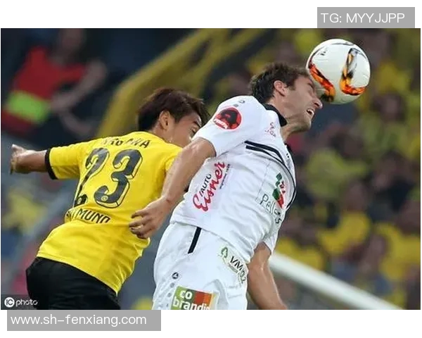 018雷根斯堡主场迎战汉堡期待精彩对决与激烈竞争 018雷根斯堡主场迎战汉堡期待精彩对决与激烈竞争