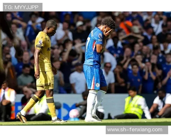 维冈竞技迎战南安普敦双方争夺英超宝贵积分的激烈对决