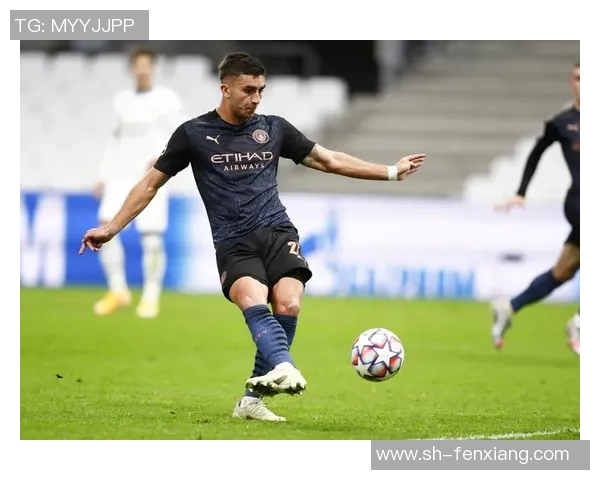 费兰托雷斯：从新星崛起到世界级球员的成长之路与未来展望