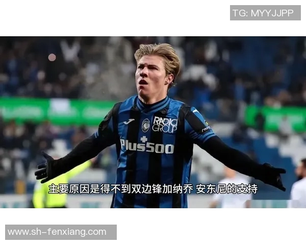 霍伊伦：探索这位杰出人物的生平与成就背后的故事与影响