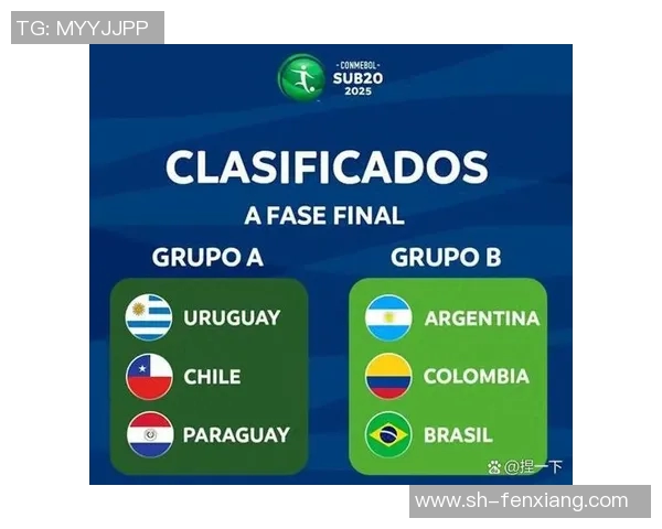 阿根廷与巴拉圭激战正酣比赛结果揭晓引发热议