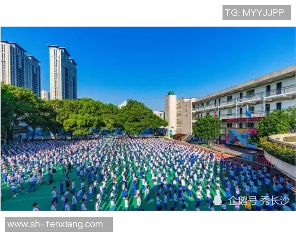 成都篮球队以67分领跑世锦赛积分榜展现强劲实力MBA