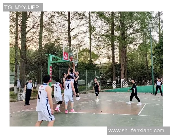 成都篮球队意识探讨与发展路径分析篮球文化的深度融合与提升 成都篮球队意识探讨与发展路径分析篮球文化的深度融合与提升