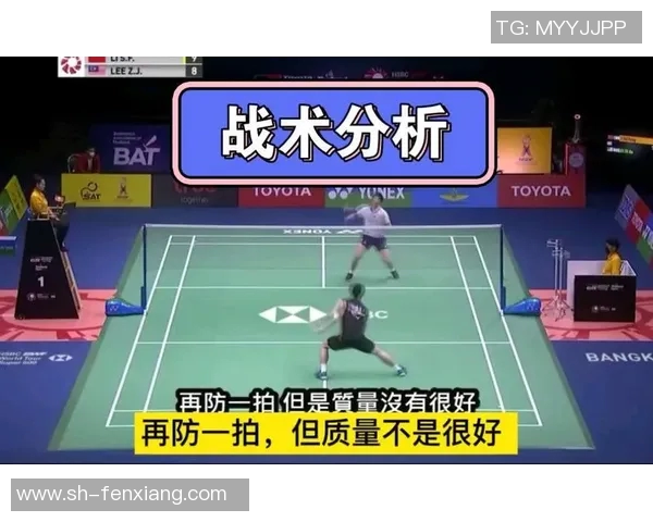 深入分析上海羽毛球队控制打法的战术特点与应用策略